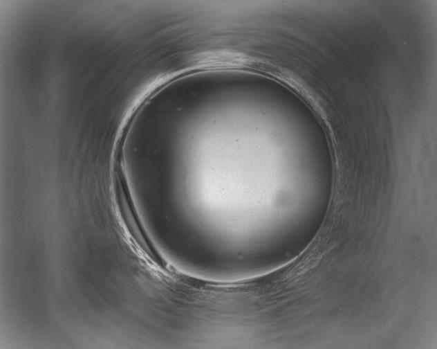 X0000057101488200509120955