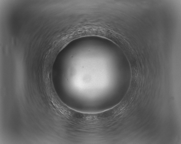 X0000057101489200509120954