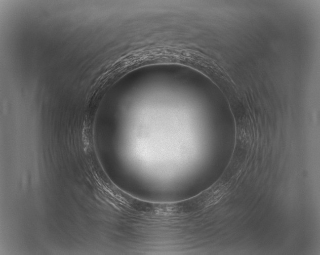 X0000057101490200509120954