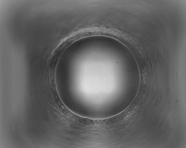 X0000057101494200509120954