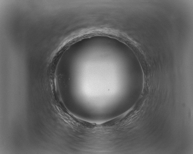 X0000057101496200509120954