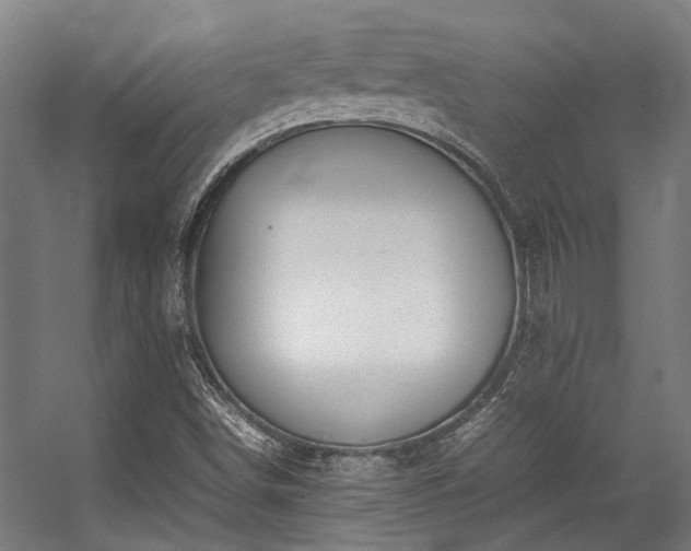 X0000057101498200509120954