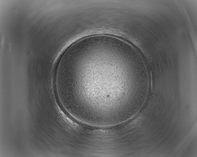 X0000057101500200509120954