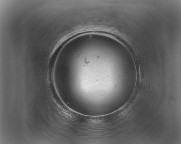 X0000057101501200509120954