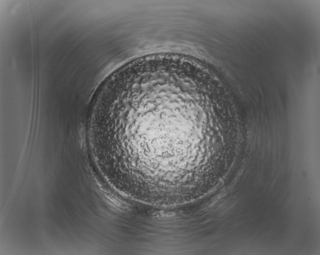 X0000057101505200509120954