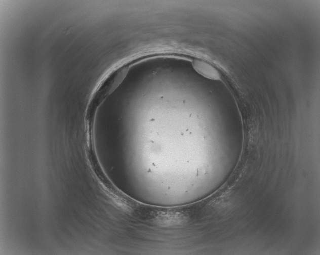 X0000057101509200509120954