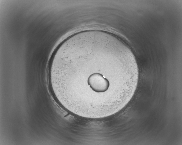 X0000057101514200509120954