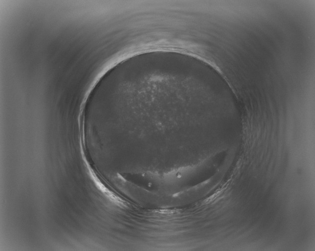 X0000057101515200509120954