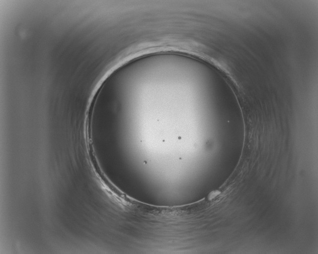 X0000057101516200509120954