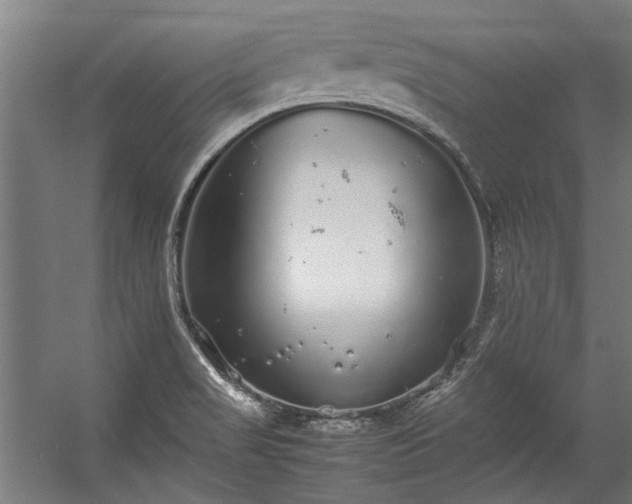 X0000057101517200509120954