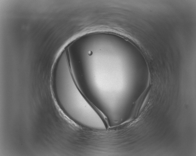 X0000057101518200509120954