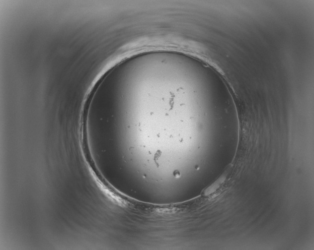 X0000057101523200509120955