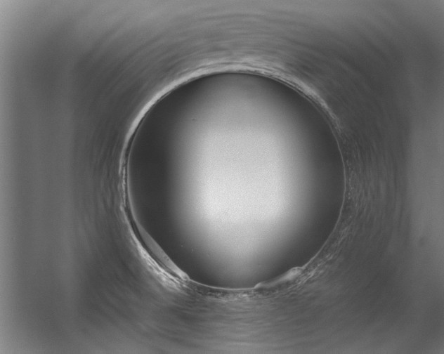 X0000057101524200509120955