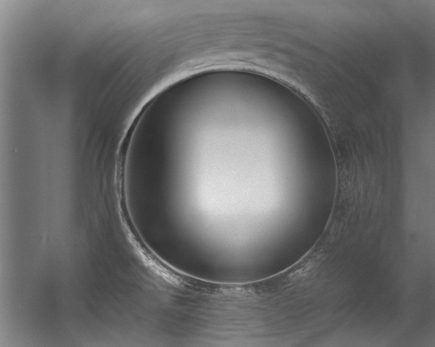 X0000057101526200509120955