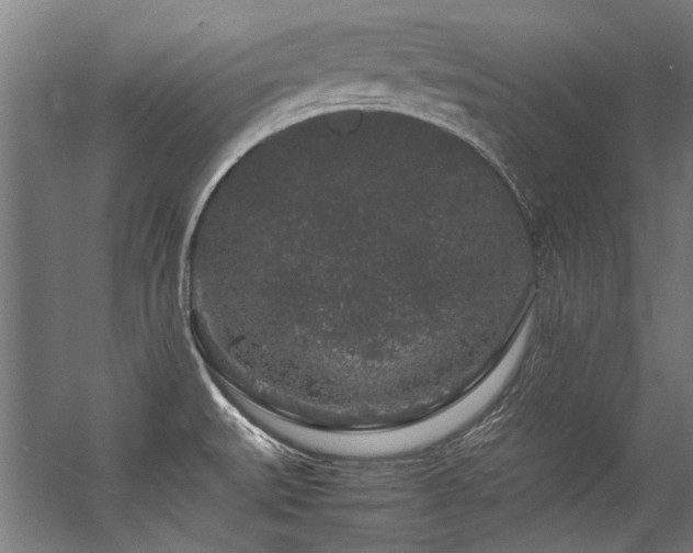 X0000057101527200509120955