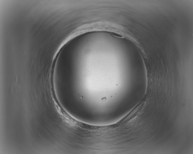 X0000057101530200509120955