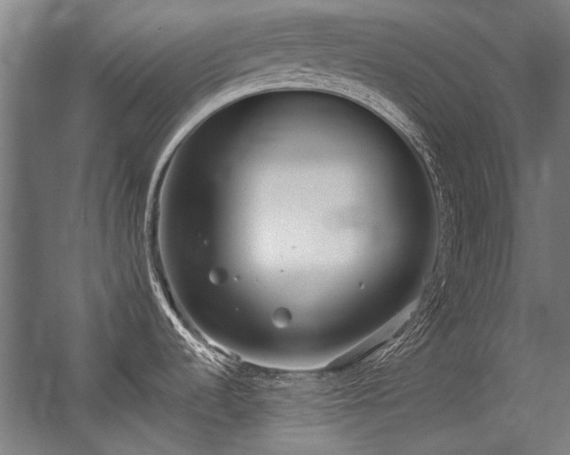 X0000057101536200509120955