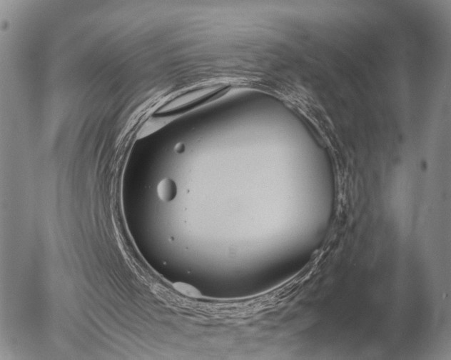 X0000057100001200509161706