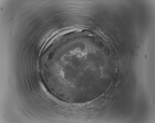 X0000057100002200509161706