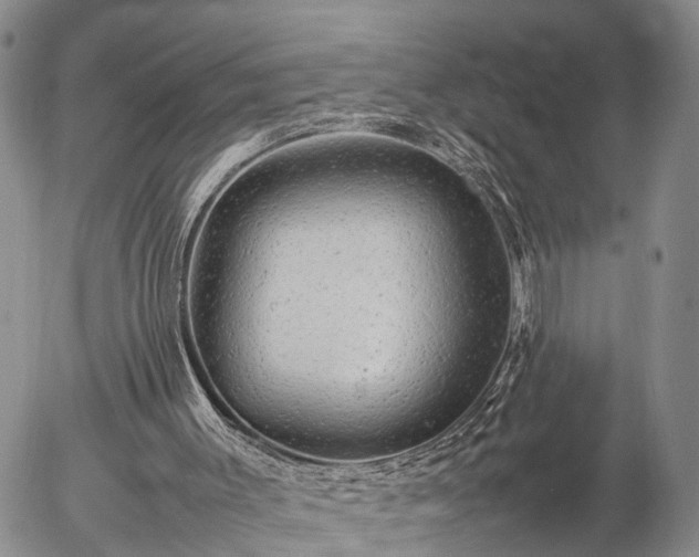 X0000057100003200509161706