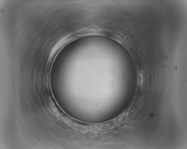 X0000057100004200509161706