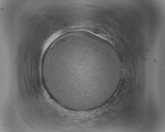 X0000057100006200509161706