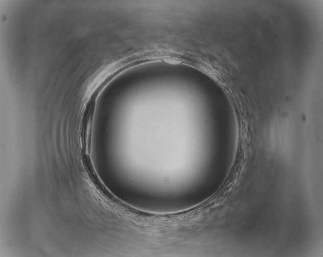 X0000057100007200509161706