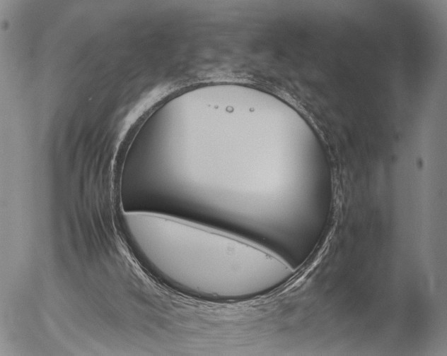 X0000057100008200509161706