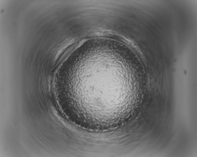 X0000057100010200509161706