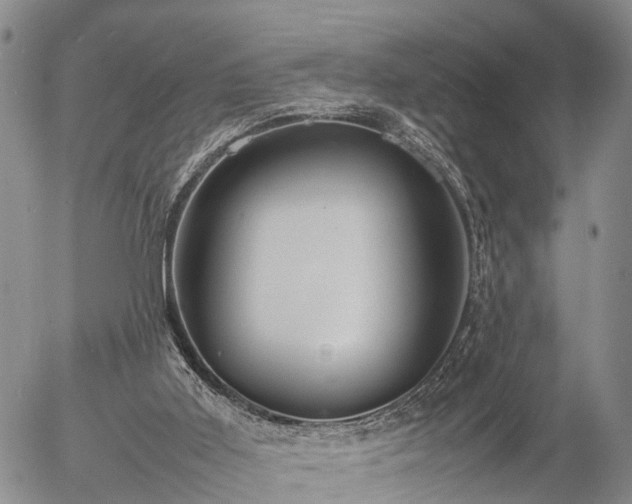 X0000057100011200509161706