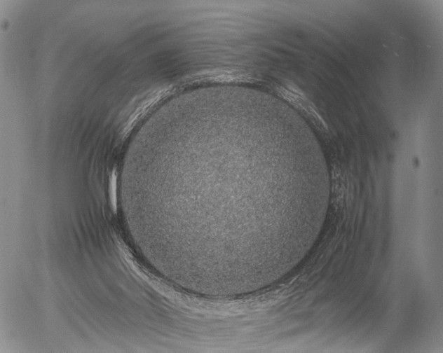 X0000057100014200509161706