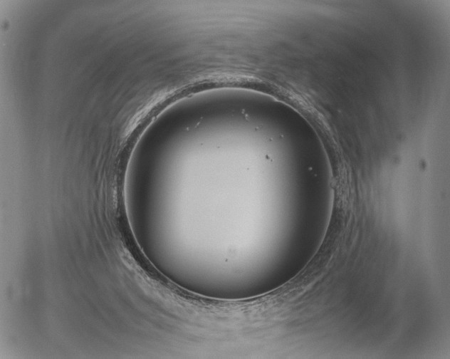 X0000057100015200509161706