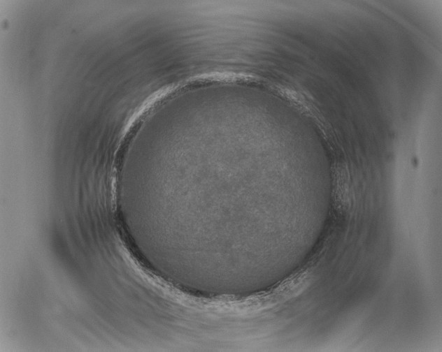 X0000057100016200509161706