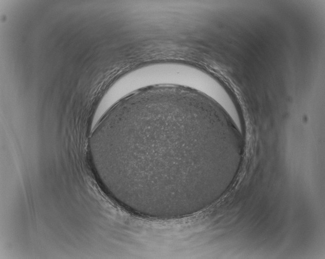 X0000057100017200509161706