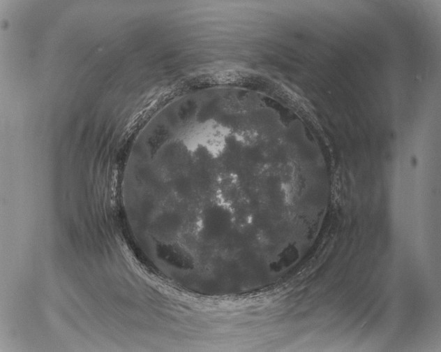 X0000057100018200509161706