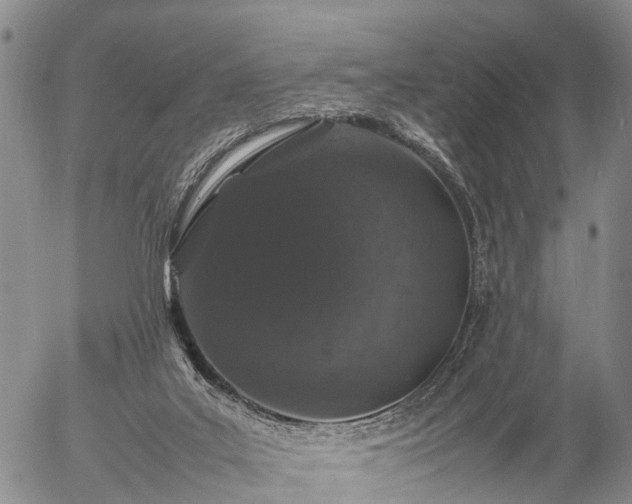 X0000057100019200509161706