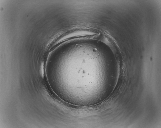 X0000057100020200509161706