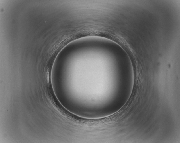 X0000057100021200509161706