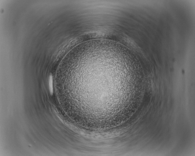 X0000057100022200509161706