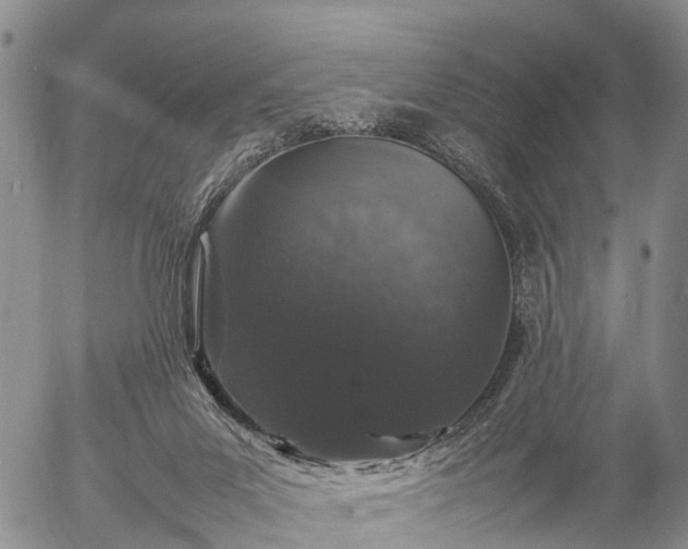 X0000057100023200509161706