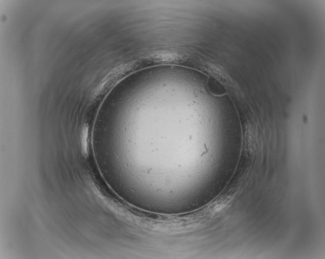 X0000057100024200509161706