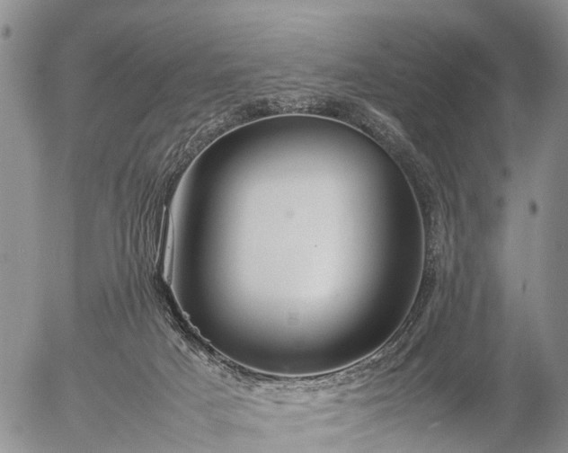 X0000057100025200509161706