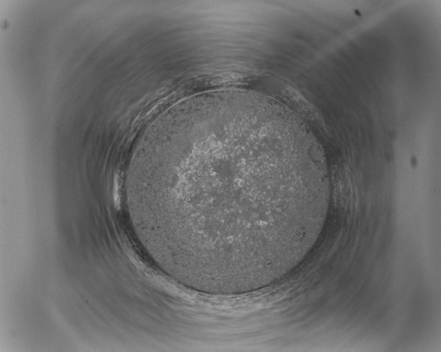 X0000057100026200509161706