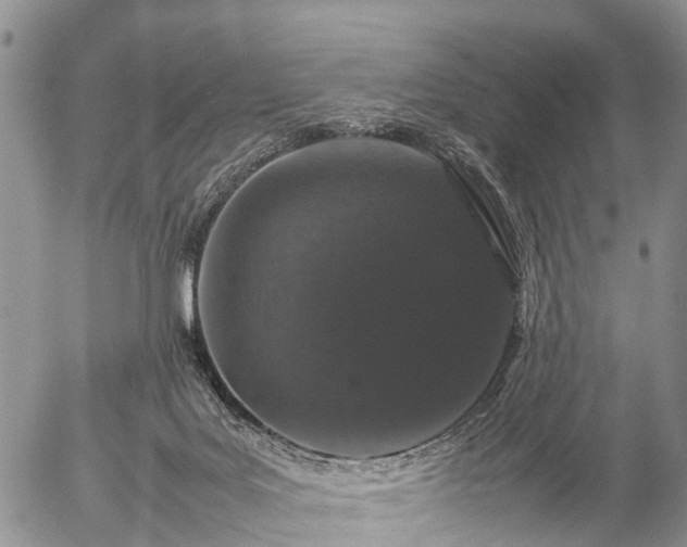 X0000057100027200509161706