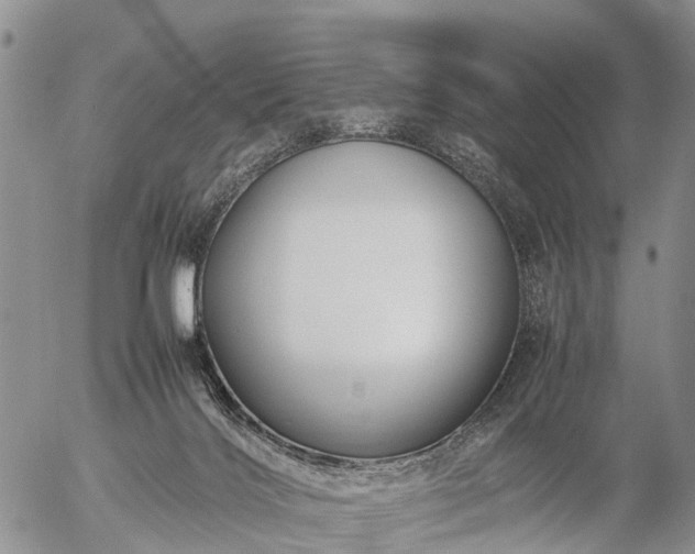 X0000057100028200509161706