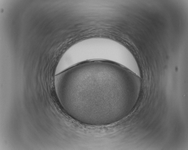 X0000057100029200509161706