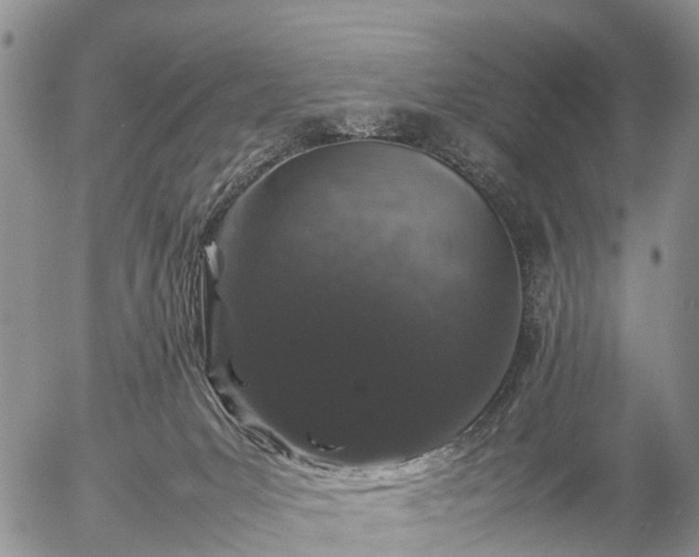 X0000057100031200509161706