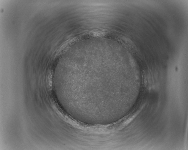 X0000057100032200509161706