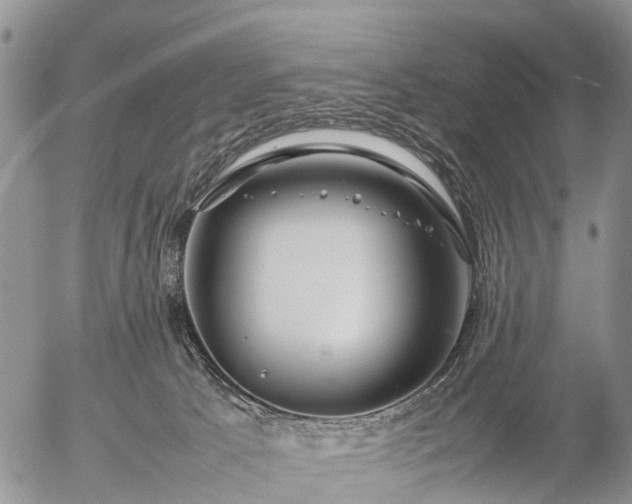 X0000057100033200509161706