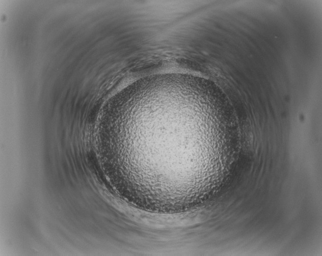 X0000057100034200509161706